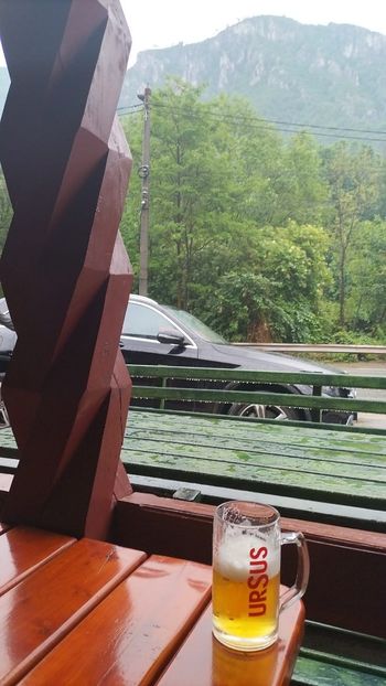 IMG-20230605-WA0099 - 2023 MLainic MTismana MSfAna Herculane CazaneleDunării Giardini di Gioia 2-4 iunie