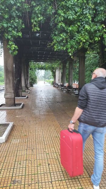 IMG-20230605-WA0111 - 2023 MLainic MTismana MSfAna Herculane CazaneleDunării Giardini di Gioia 2-4 iunie