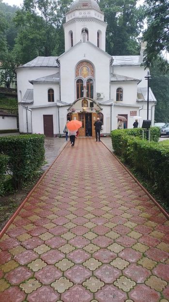 IMG-20230605-WA0123 - 2023 MLainic MTismana MSfAna Herculane CazaneleDunării Giardini di Gioia 2-4 iunie