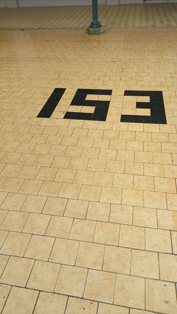 IMG-20230605-WA0127 - 2023 MLainic MTismana MSfAna Herculane CazaneleDunării Giardini di Gioia 2-4 iunie