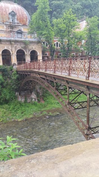 IMG-20230605-WA0131 - 2023 MLainic MTismana MSfAna Herculane CazaneleDunării Giardini di Gioia 2-4 iunie