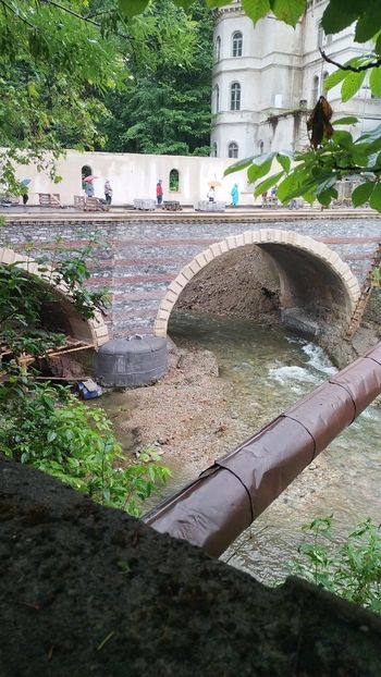 IMG-20230605-WA0137 - 2023 MLainic MTismana MSfAna Herculane CazaneleDunării Giardini di Gioia 2-4 iunie