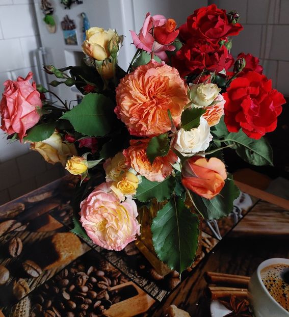  - Trandafiri 2020-2023