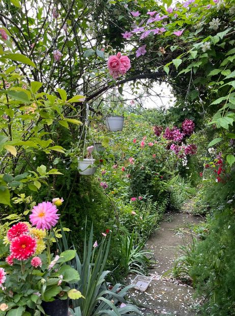 1A38AA36-F346-4FB4-AED2-30A9D8AB8145 - Trandafiri 2023 2