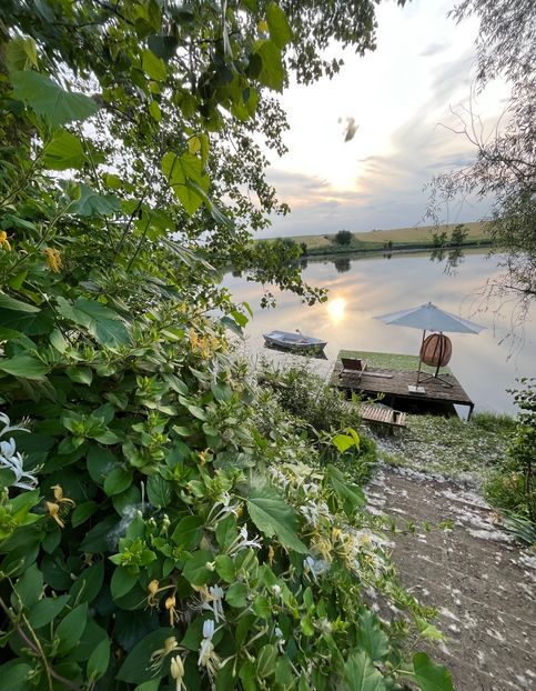 9A8D0D5F-5891-42CF-90B0-24A31E6A616D - Arbusti 2017 23 24