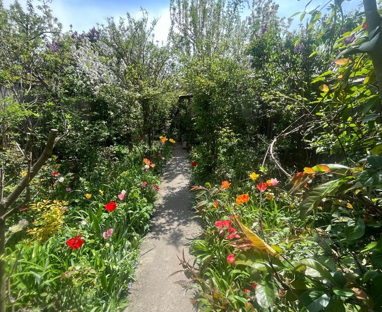 A4673250-2EA7-4EC0-B153-A9F1AABEA64B - Flori 2022 2023