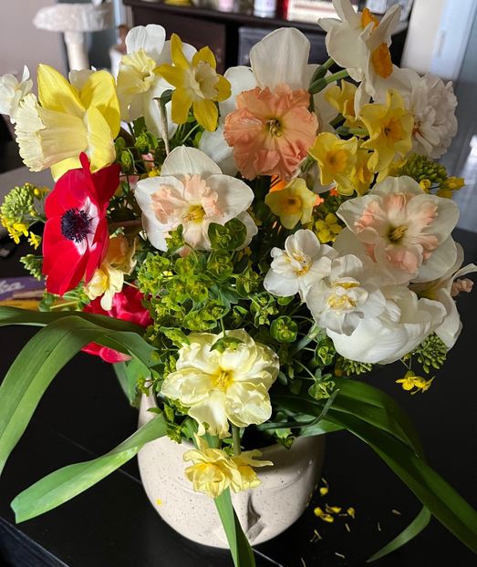 9F45DC09-0385-4C0E-A547-EB3FDF9A0389 - Flori 2022 2023