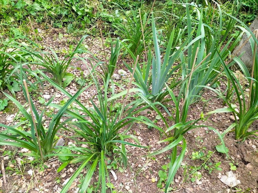 IMG20230606195034 - Anul 2023 vol 2