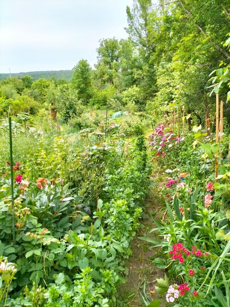 IMG20230606194431 - Anul 2023 vol 2