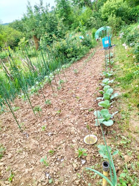 IMG20230606193951 - Anul 2023 vol 2