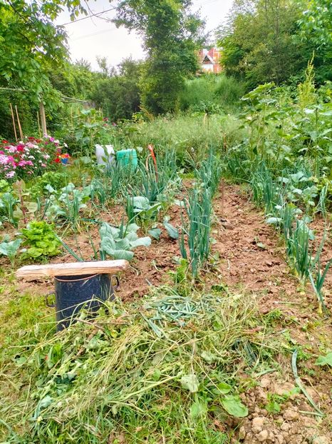 IMG20230606193944 - Anul 2023 vol 2