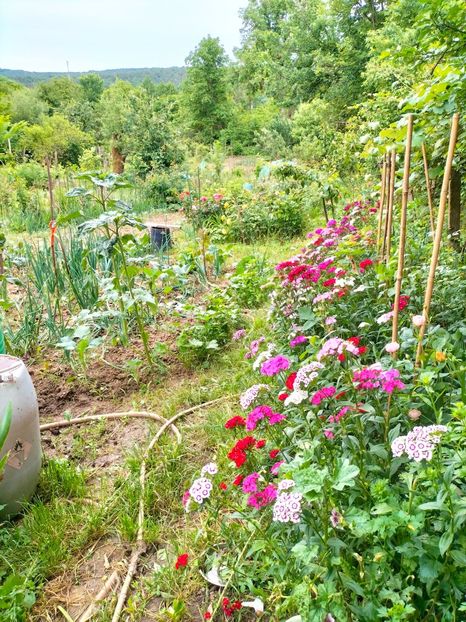 IMG20230606191627 - Anul 2023 vol 2