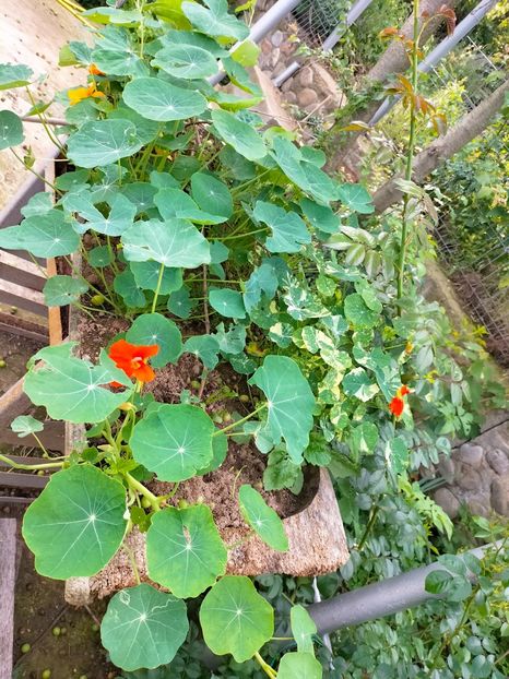 IMG20230605184339 - Anul 2023 vol 2