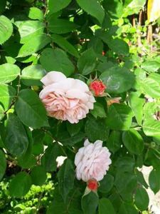 20230605_180300[1] - leander