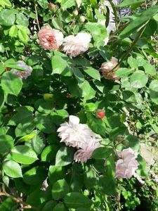 20230605_180147[1] - leander