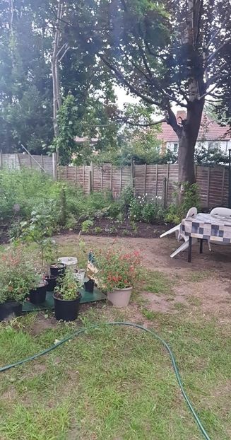 received_808018514231327 - 0 Gradina 2023