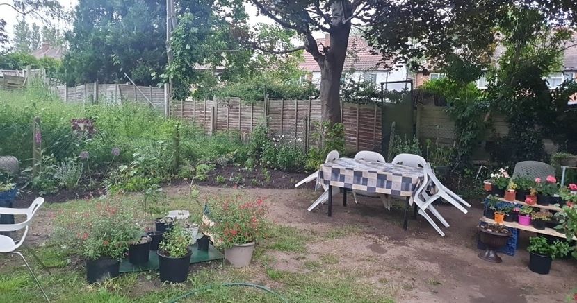received_1205760120127491 - 0 Gradina 2023