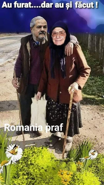  - Poze haioase pamflet