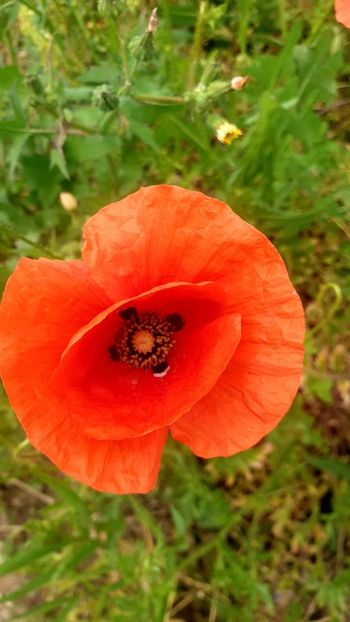  - Universul si Natura