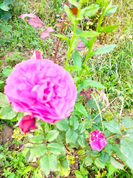 IMG20230608173622 - Iunie 2023