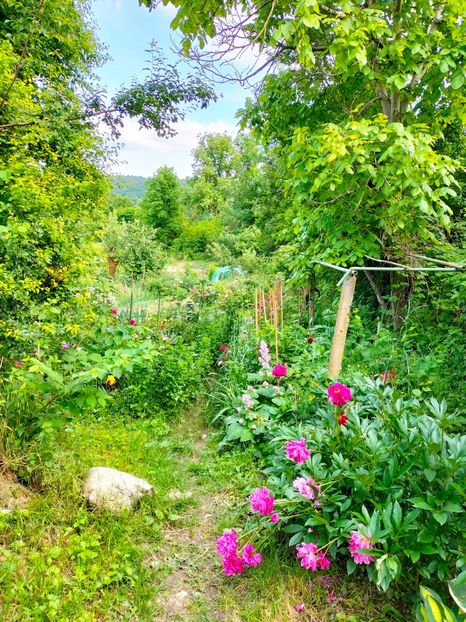 IMG20230608170823 - Iunie 2023