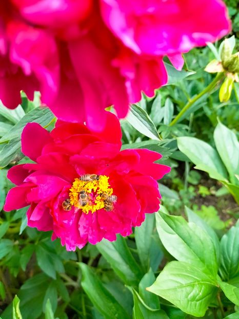 IMG20230608170858 - Iunie 2023