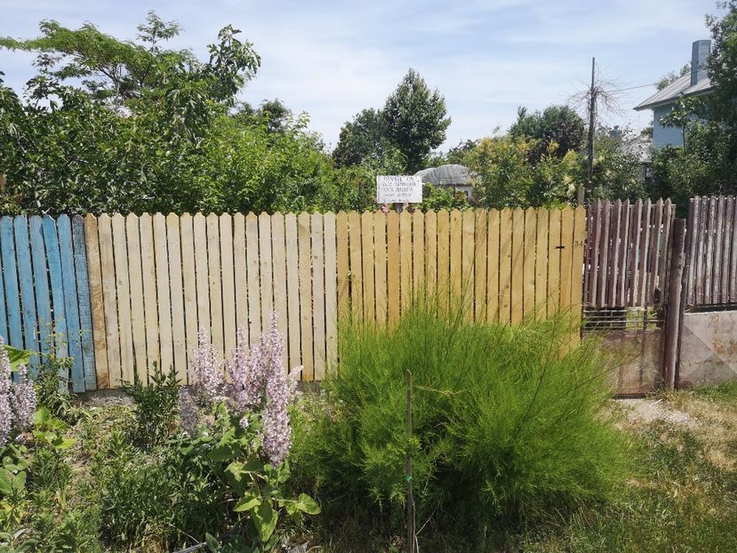  - Gradina flori