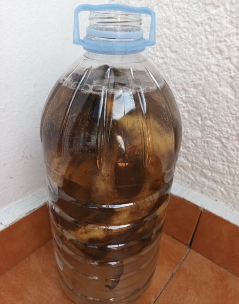 Coji de banane puse aseara in apa - Poate vă interesează