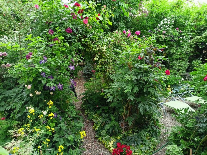  - Grădina 2023 continuare 3