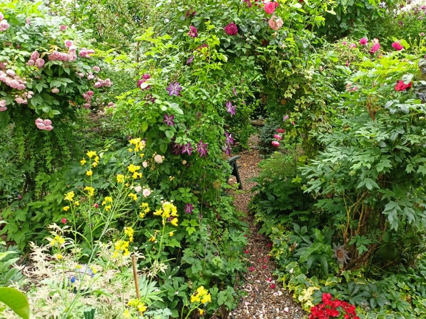  - Grădina 2023 continuare 3