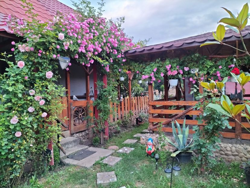 IMG20230609205605 - Super Dorothy