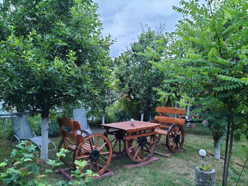 IMG20230609211115 - 2023 prin curte și gradina