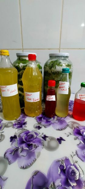 IMG20230601122908 - 2023 dulce