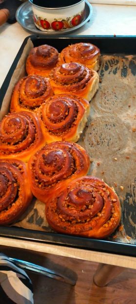 IMG20230320122144 - 2023 dulce