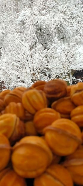 IMG20230127085751 - 2023 dulce