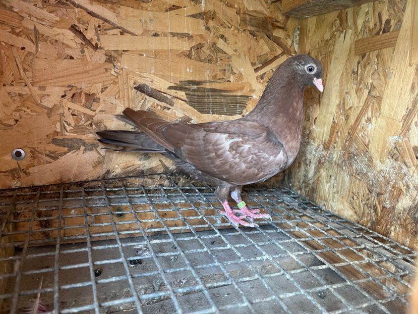 2997/23 - 6-lot zbor 2023