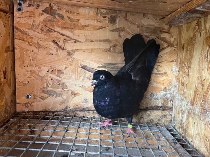 2985/23 - 6-lot zbor 2023