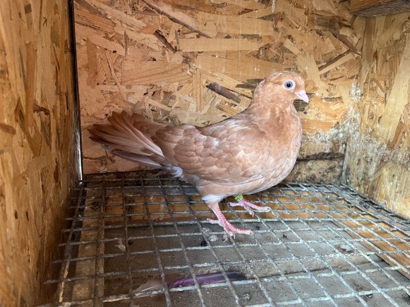 2994/23 - 6-lot zbor 2023