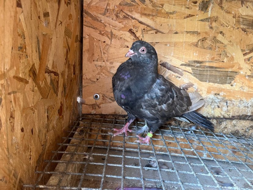 2974/23 - 6-lot zbor 2023