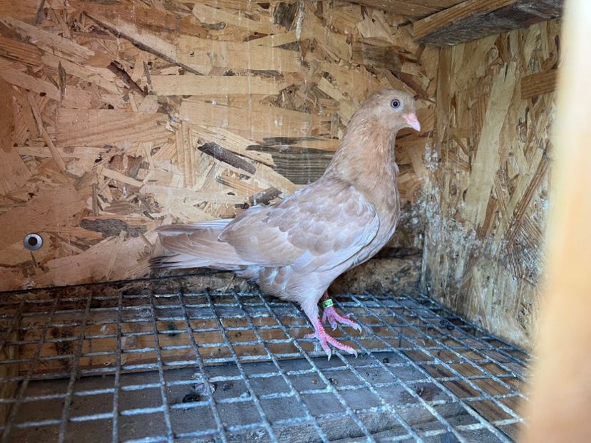 2978/23 - 6-lot zbor 2023