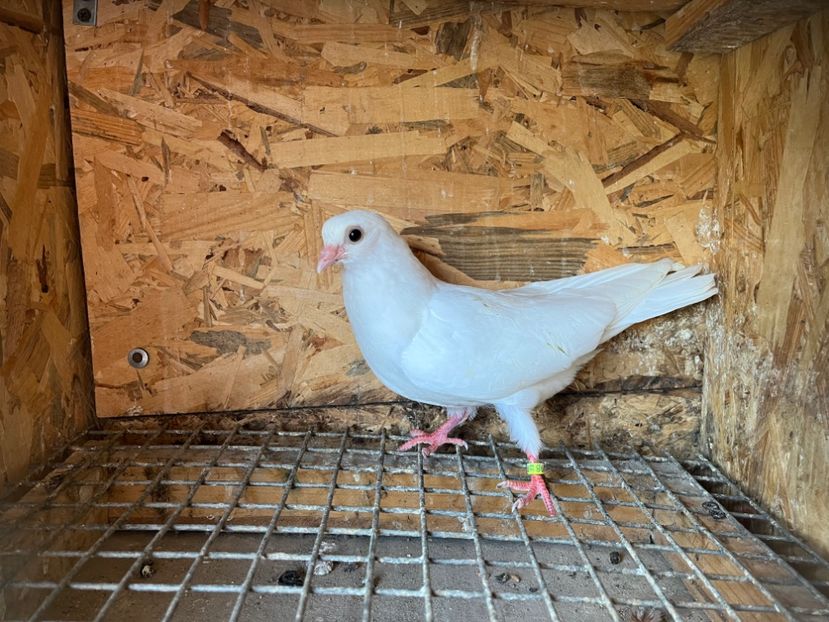 2998/23 - 6-lot zbor 2023