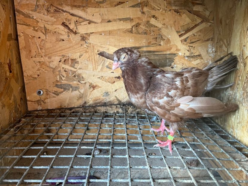 2992/23 - 6-lot zbor 2023