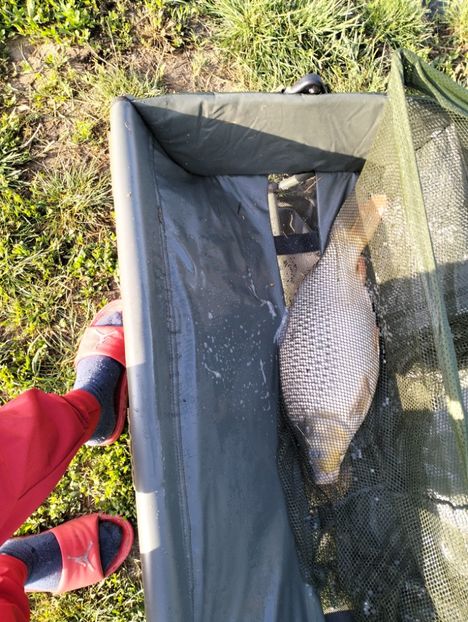 IMG20230610073547 - Pescuit