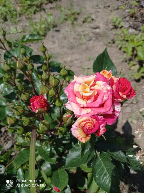 11.06.2023 - Fireflash