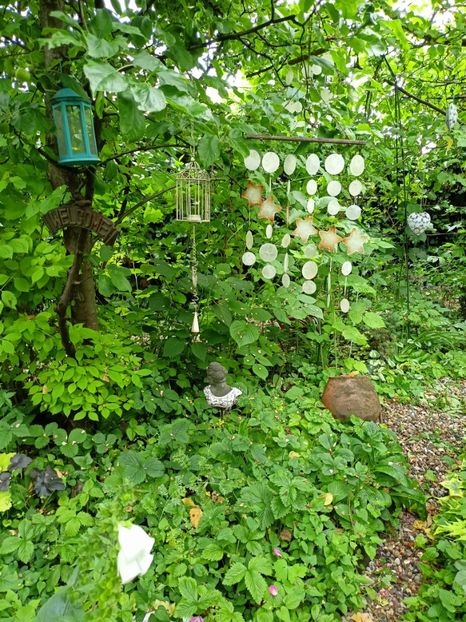  - Grădina 2023 continuare 3