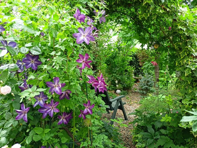  - Grădina 2023 continuare 3