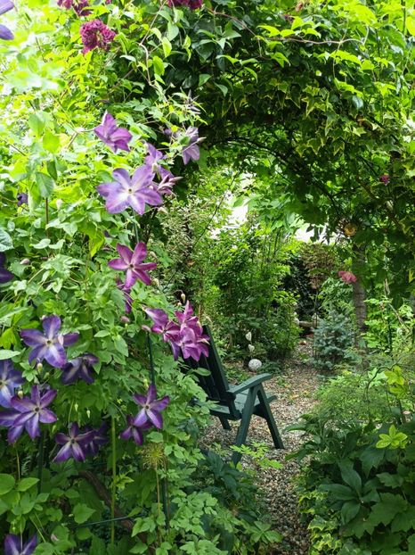  - Grădina 2023 continuare 3