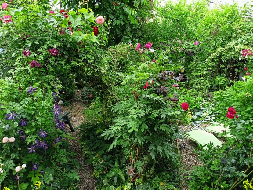  - Grădina 2023 continuare 3