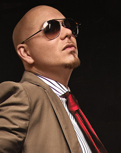 Pitbull_5 - pitbull