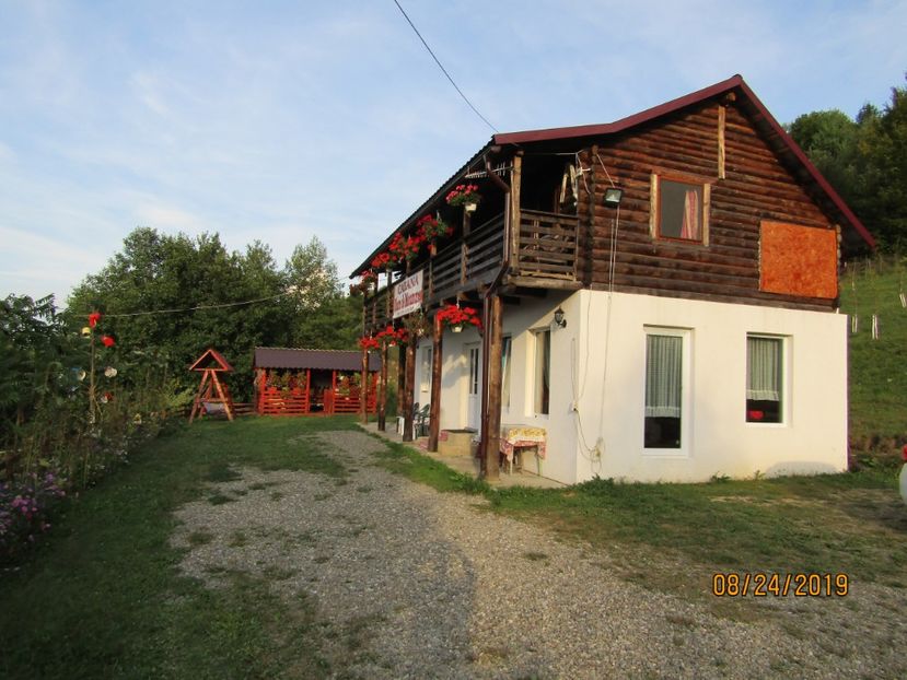  - Floarea Maramuresului